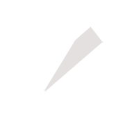 日照临时保镖服务